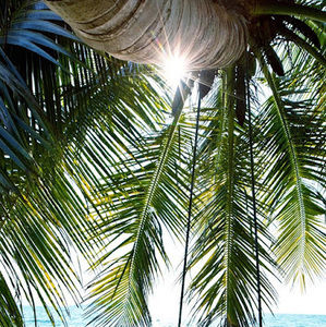 Meet your Posher, Jaydonplayzmc